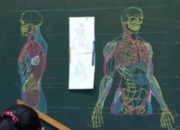 人体艺术ppt,探索人体艺术的魅力与内涵