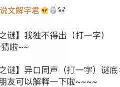 我独不得出打一字,探讨‘我独不得出的深层含义与启示”