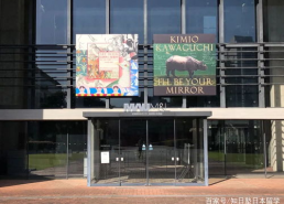 日本综合艺术网,探索多元艺术魅力，展现国粹风采