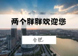 两个胖子打一城市名字