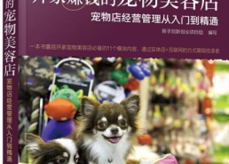 宠物美容店赚钱吗,盈利潜力与经营策略解析
