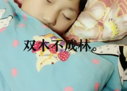 双木不成林打一字